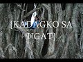 CANLAON.wmv CANLAON.wmv