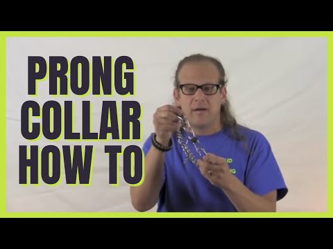 how to fit prong collar