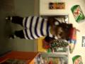 videos de Paddles T. Otter