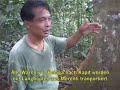 Borneo middle of nowhere jungle adventure with leeches