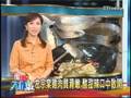 ETtoday主播廖廷娟-「搶錢大作戰」主持片段