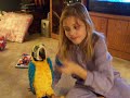 aleshia-wishes-ken-a-merry-christmas.html