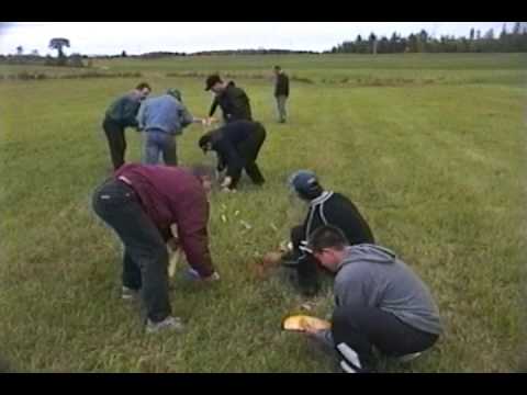 Aircraft Near Miss and Crash (R/C)