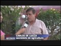 A��o imediata 14/05/13 (4�Bloco)