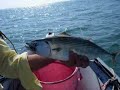Mangianze nel delta del Po - Pesca a mosca