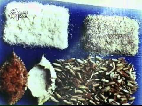 idi sangathi