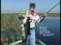Huge 10lb Bass Caught on Lake Okeechobee with a Nemire Spoon Buzzer Buzz Bait