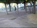 gallina e ignacio