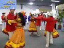 Feria de las Colonias 2008 - Valledupar.com