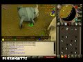Runescape Barbarian Assault - Bluenight72