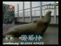 Mekik Çeken Deniz Aslan? Mekik Çeken Deniz Aslan?