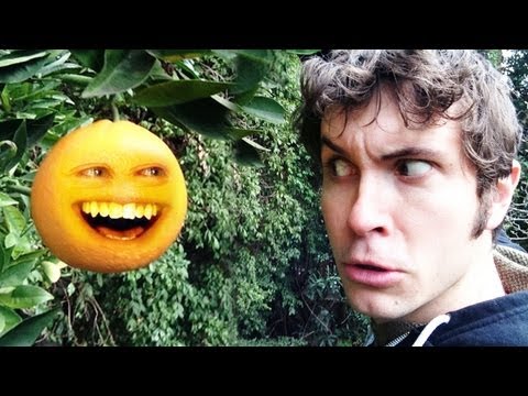 realannoyingorange - Free Netflix for Audience! http://netflix.com/Tobuscus Signed DRW posters! http://www.forhumanpeoples.com/products/tobuscus-drw-poster Facebook | http://Face...