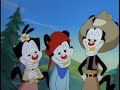 Animaniacs AMV - Won't Get Fooled Again