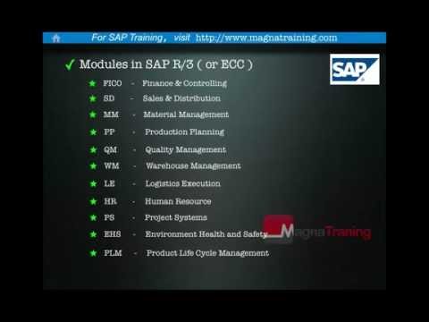 SAP - A brief introduction to SAP.