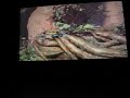 make-my-video-kris-kross-intro.html