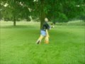 Tai Chi (Taiji) 太極Cheng Man Ching (Zheng Man Qing) 鄭曼青Flow (Liu) 流