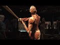 Body Worlds - San Jose Body Worlds - San Jose