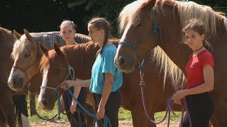 Den otevřených dveří v Ryzáčku
