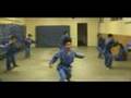 Vovinam - Viet Vo Dao - Germany