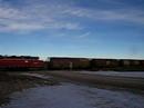 Seaforth 15.01.06 2830