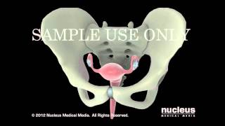 Edgar Teolotitla Rosales-8