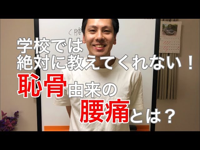 学校では絶対に教えてくれない！「恥骨」由来の腰痛とは？ 高槻 腰痛