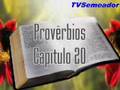 Provérbios - Cap. 20