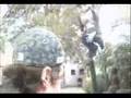 videos de kudai:::Casa kudai - Conoce a Pepo