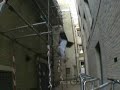 Parkour lâché 3 Parkour lâché 3