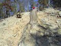 uwharrie 11 09 046