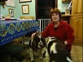 Jan Fennell the Dog Listener