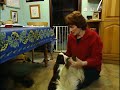 Jan Fennell the Dog Listener Jan Fennell the Dog Listener