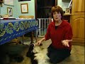Jan Fennell the Dog Listener