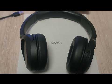 Sony WHXB700 - Auriculares inalámbricos Bluetooth con micrófono para  llamadas telefónicas y control de voz Alexa, color negro