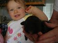 pitbull puppy attacks baby! pitbull puppy attacks baby!