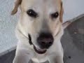 Na Estrada Família Lima (Tobias) Na Estrada Família Lima (Tobias)