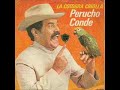 La cotorra criolla