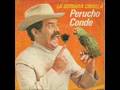 La cotorra criolla