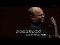 lambada für elise by pavel steidl