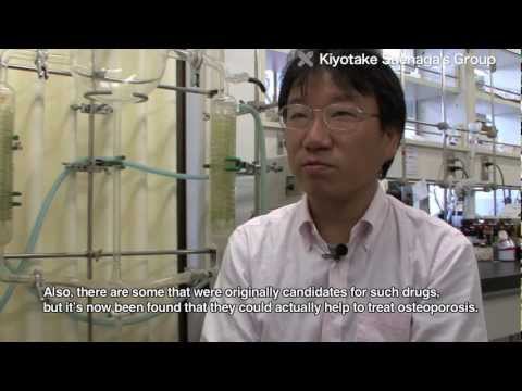 how to collect cyanobacteria