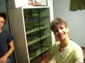 anteprima de \"Il Vairus\"
