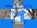 Grafitti In Galati