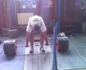 mrtvy tah 280kg