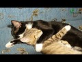 Click here to watch this video miłość - wiersz Radosława Lemańskiego