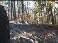 Woody Hot Springs 2