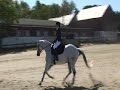 Megan & Ice Dressage Megan & Ice Dressage
