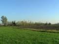 videos de malati per gli aerei in campagnamagra