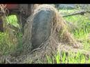 Clearwater Competition: The Farmer's Song — Green Peas TV
