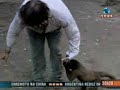 Selvagem ao Extremo vai aos ar na Record News de segunda á sábado ás 8:00 da noite.Todos os direitos de imagem deste vídeo é da Record News