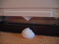 Bubbly dishwasher